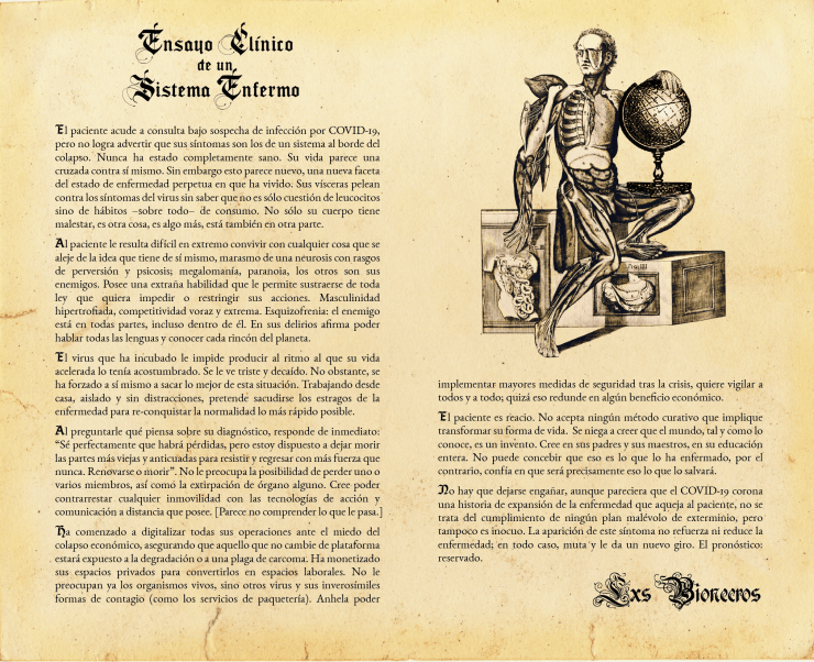 ensayo clinico bionecros02